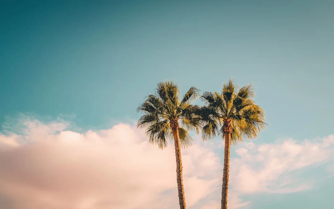 Turismo hispano en Florida California Caribe 2026