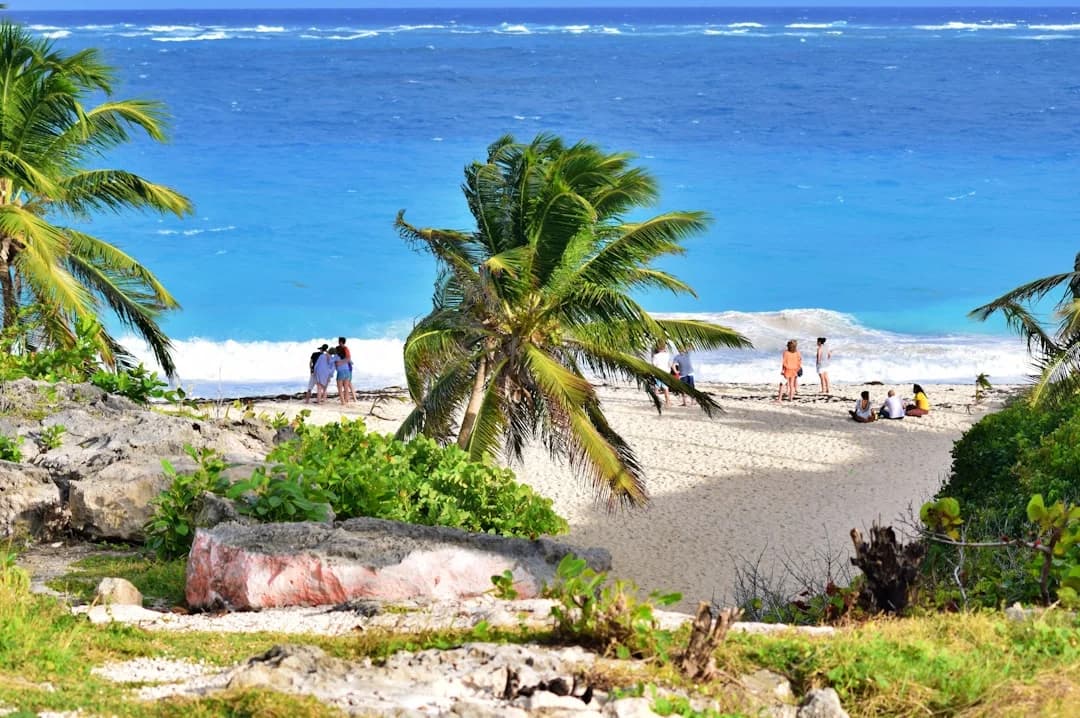 Cover Image for Destinos latinos populares EE. UU. Caribe 2026