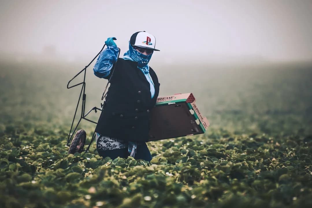 Cover Image for IA para Agricultores Hispanos en EE.UU. Rural 2026