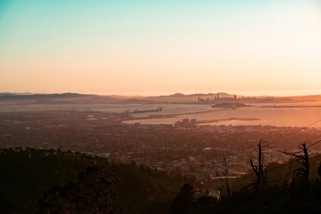 Cover Image for La escena de música latina y entretenimiento EE. UU. 2026