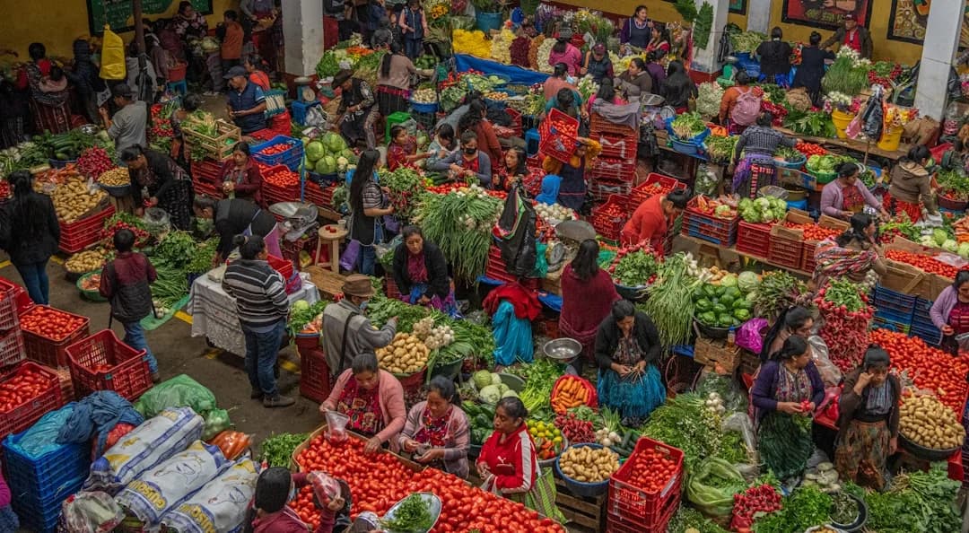 Cover Image for Seguridad Alimentaria Y Resiliencia Comunitaria Hispana 2026
